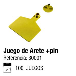 Juego de Arete + Pin (Grande)