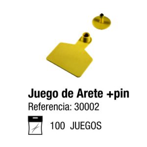 Juego de Arete + Pin (Intermedio)